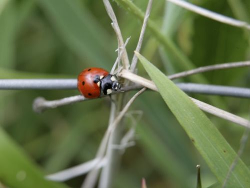 Fotografia de MANUEL SNCHEZ FOTGRAFO - Galeria Fotografica: AUTOR - Foto: 