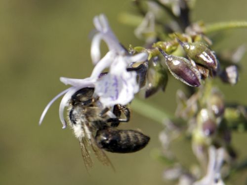 Fotografia de MANUEL SNCHEZ FOTGRAFO - Galeria Fotografica: AUTOR - Foto: 