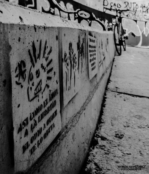 Fotografia de Fotografa Boris Gonzalez - Galeria Fotografica: Sanvistreet - Foto: Odio