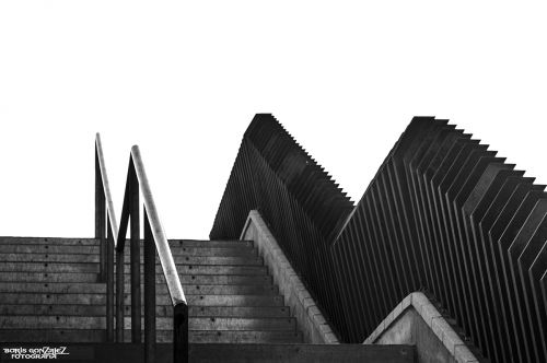 Fotografia de Fotografa Boris Gonzalez - Galeria Fotografica: Sanvistreet - Foto: Serpiente urbana