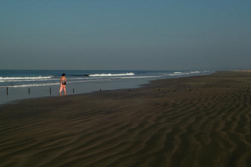 Fotografia de Llibert Teixid - Galeria Fotografica: Regin de Goa - India - Foto: Playa por la maana en Arambol