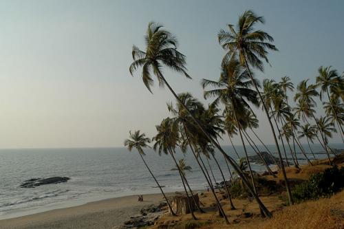 Fotografia de Llibert Teixid - Galeria Fotografica: Regin de Goa - India - Foto: Playas