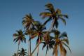 Fotos de Llibert Teixid -  Foto: Regin de Goa - India - Playas