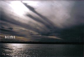 Fotografia de Sin Nombre - Galeria Fotografica: fuera d mi - Foto: 