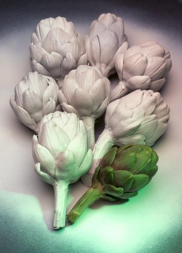 Fotografia de E S fotografia - Galeria Fotografica: E & S FOTOGRAFIA  galeria 1  Bodegones - Foto: alcachofas