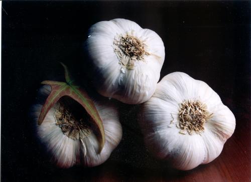 Fotografia de E S fotografia - Galeria Fotografica: E & S FOTOGRAFIA  galeria 1  Bodegones - Foto: ajos