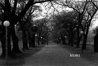 Fotografia de Sin Nombre - Galeria Fotografica: byn Cordoba - Foto: 