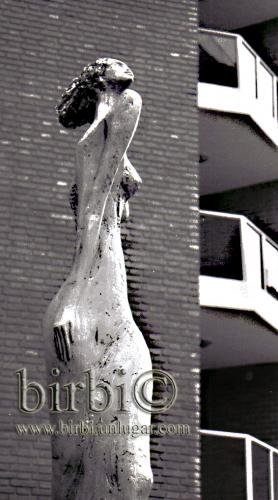 Fotografia de Sin Nombre - Galeria Fotografica: byn Cordoba - Foto: 