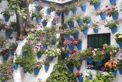 Fotografia de alfonsoazaustre fotgrafo - Galeria Fotografica: VIAJES - PAISAJES - Foto: 