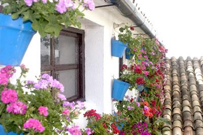 Fotografia de alfonsoazaustre fotgrafo - Galeria Fotografica: VIAJES - PAISAJES - Foto: 