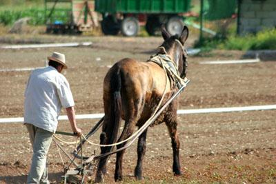 Fotografia de alfonsoazaustre fotgrafo - Galeria Fotografica: VIAJES - PAISAJES - Foto: 