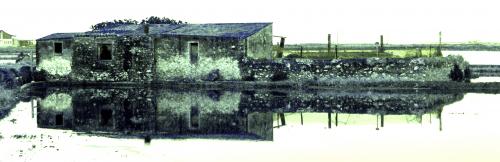 Fotografia de Mireia Canicio Ena - Galeria Fotografica: MI PUNTO DE VISTA - Foto: 