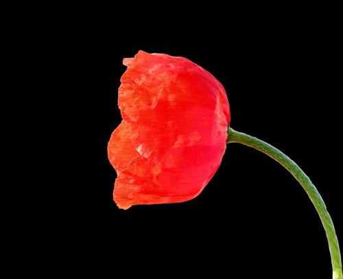 Fotografia de Mireia Canicio Ena - Galeria Fotografica: MI PUNTO DE VISTA - Foto: CONTRASTE