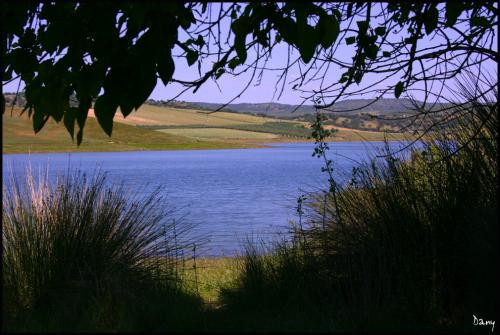 Fotografia de Daniel Maestre - Galeria Fotografica: Jos Torn - Foto: Escondido