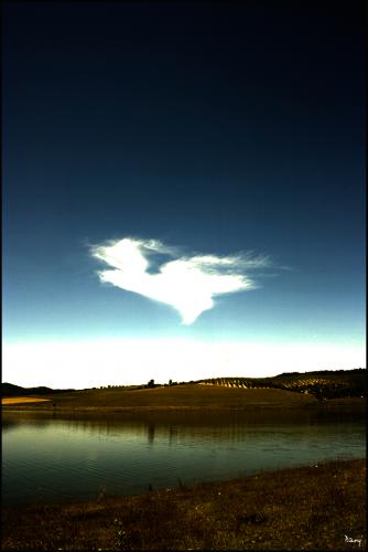 Fotografia de Daniel Maestre - Galeria Fotografica: Jos Torn - Foto: Capricho