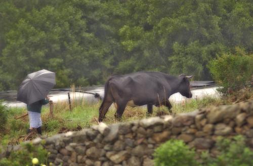 Fotografia de frantecnofoto - Galeria Fotografica: galicia 2005 - Foto: 