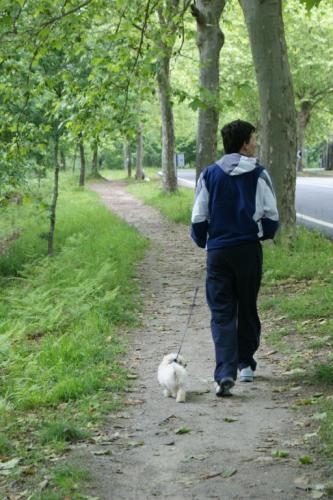 Fotografia de Uxia - Galeria Fotografica: De Paseo - Foto: paseando