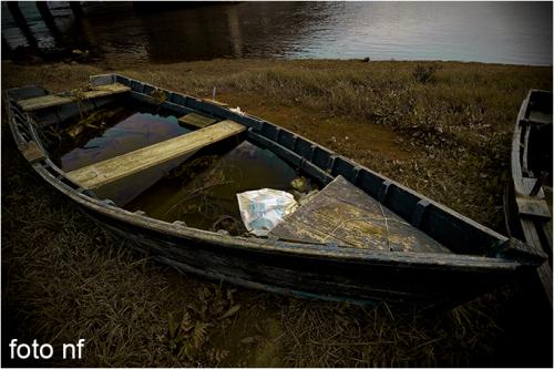 Fotografia de Estudio de Fotografa NF - Galeria Fotografica: FOTOGRAFA PROFESIONAL - Foto: 