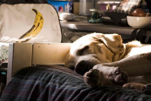 Fotografia de CC - Galeria Fotografica: Varias - Foto: 