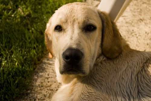 Fotografia de CC - Galeria Fotografica: Varias - Foto: 