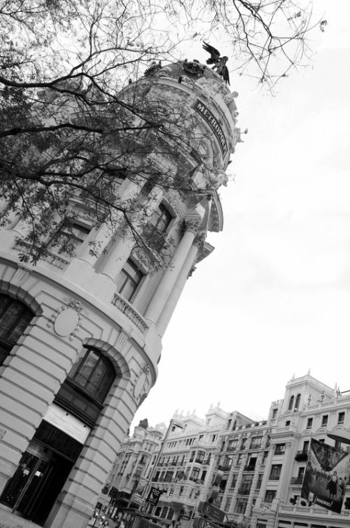 Fotografia de Javier Plasencia - Galeria Fotografica: Madrid  - Foto: 