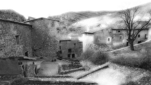 Fotografia de Javier Plasencia - Galeria Fotografica: Naturaleza y viajes - Foto: 