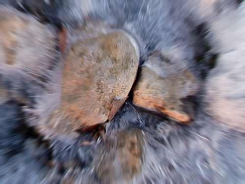 Fotografia de Javier Plasencia - Galeria Fotografica: Naturaleza y viajes - Foto: 