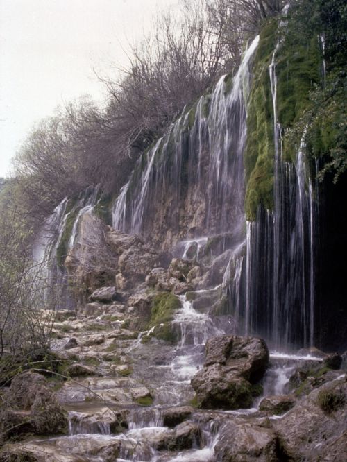 Fotografia de Javier Plasencia - Galeria Fotografica: Naturaleza y viajes - Foto: 