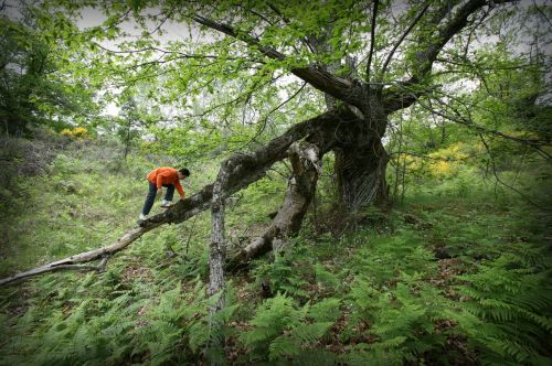 Fotografia de Javier Plasencia - Galeria Fotografica: Naturaleza y viajes - Foto: 