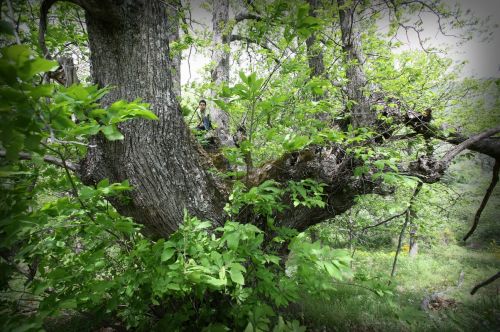 Fotografia de Javier Plasencia - Galeria Fotografica: Naturaleza y viajes - Foto: 