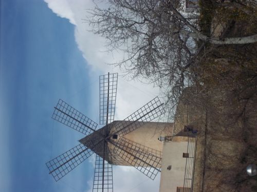 Fotografia de SergioLopez - Galeria Fotografica: Palma de Mallorca - Foto: recuerdos