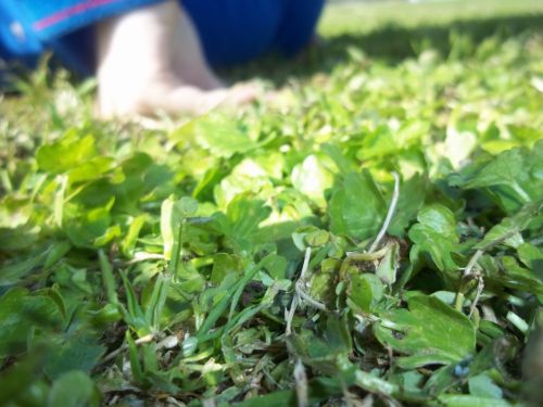 Fotografia de SergioLopez - Galeria Fotografica: Palma de Mallorca - Foto: enfoques