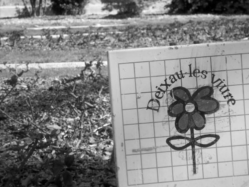 Fotografia de SergioLopez - Galeria Fotografica: Palma de Mallorca - Foto: proteger la naturaleza