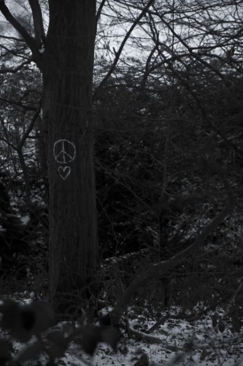 Fotografia de dope - Galeria Fotografica: naturaleza - Foto: 