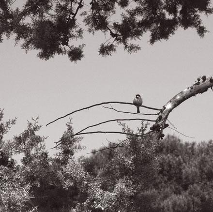 Fotografia de Juan Carlos del Rio - Galeria Fotografica: Album de Instantes - Foto: foto 03