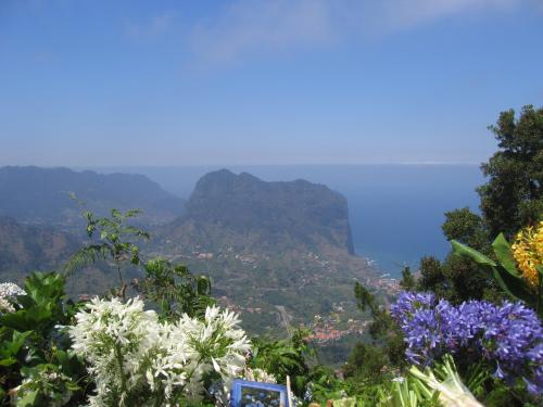 Fotografia de Lola - Galeria Fotografica: VIAJES - Foto: FLORES SILVESTRES