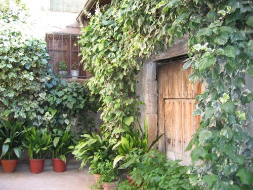 Fotografia de Lola - Galeria Fotografica: VIAJES - Foto: LA HIEDRA