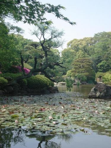 Fotografia de antonio turcarelli - Galeria Fotografica: DENTRO DE MI !!!! - Foto: caricias