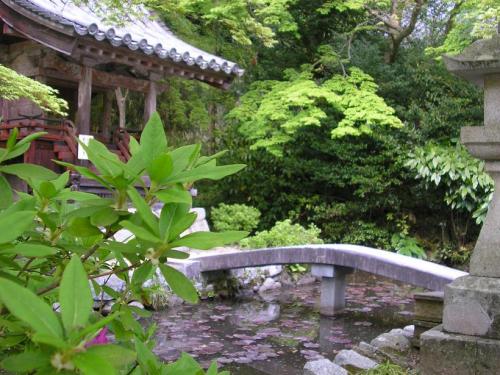 Fotografia de antonio turcarelli - Galeria Fotografica: DENTRO DE MI !!!! - Foto: tus besos !!!!