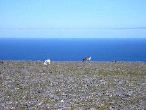 Fotografia de antonio turcarelli - Galeria Fotografica: DENTRO DE MI !!!! - Foto: DETRAS TUYO !!!1
