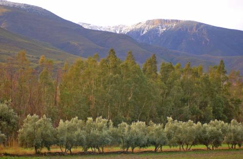 Fotografia de frantecnofoto - Galeria Fotografica: alpujaras - Foto: s\t