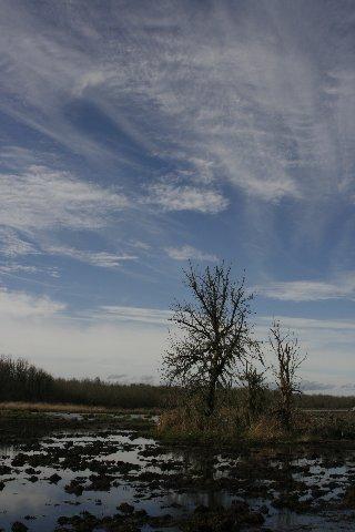 Fotografia de arte de Fototaker - Galeria Fotografica: paisajes y mas - Foto: Fern Ridge (Eugene) Oregon EE.UU.