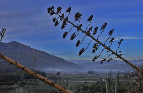 Fotografia de frantecnofoto - Galeria Fotografica: alpujaras - Foto: amanecer en orgiva