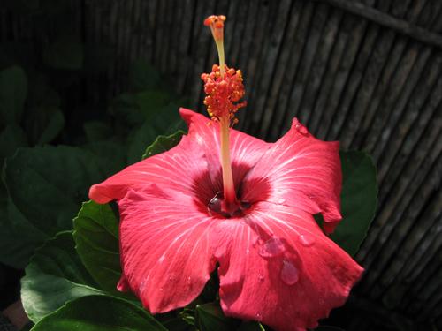 Fotografia de lucio - Galeria Fotografica: DUTU - Foto: 