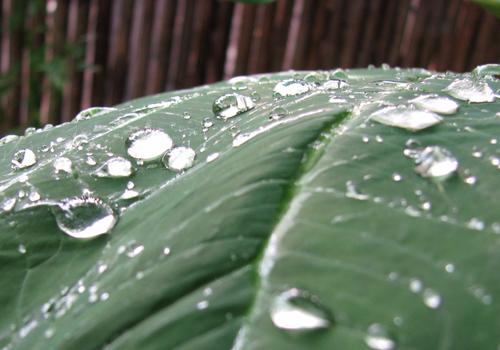 Fotografia de lucio - Galeria Fotografica: DUTU - Foto: 