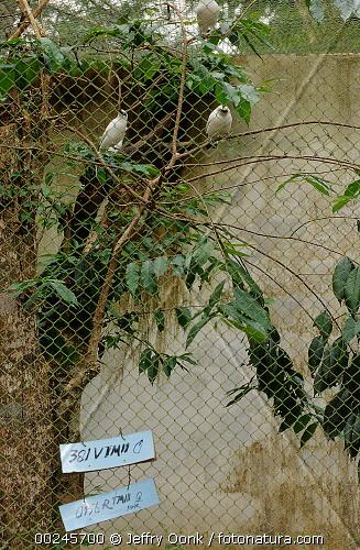 Fotografia de mixermago - Galeria Fotografica: mxm - Foto: waaa