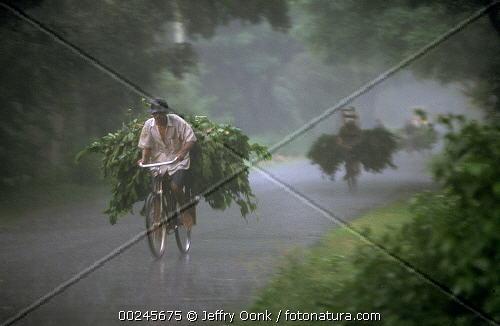 Fotografia de mixermago - Galeria Fotografica: mxm - Foto: wax