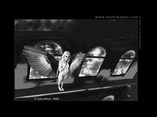 Fotografia de mixermago - Galeria Fotografica: mxm - Foto: hrrr