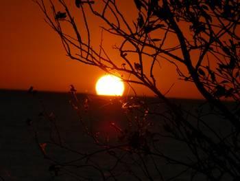 Fotografia de mixermago - Galeria Fotografica: mxm - Foto: imagen3