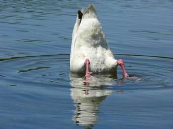 Fotografia de mixermago - Galeria Fotografica: mxm2 - Foto: imagen5